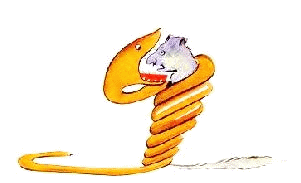 un serpent boa qui avalait un fauve